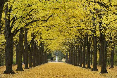 Gödöllő-stock-foto