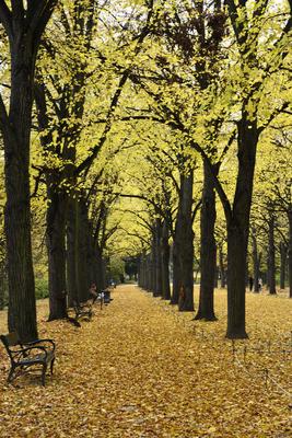 Gödöllő-stock-foto