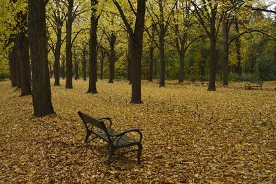 Gödöllő-stock-foto