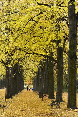 Gödöllő-stock-foto