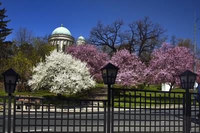Esztergom-stock-foto