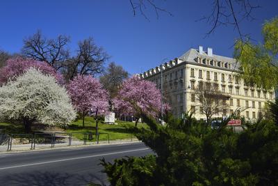 Esztergom-stock-foto