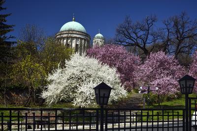 Esztergom-stock-foto