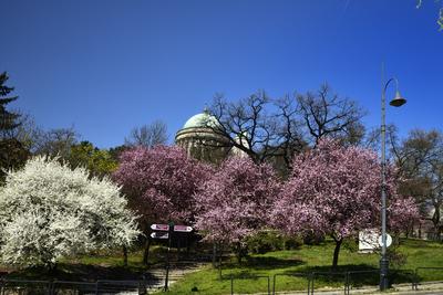 Esztergom-stock-foto