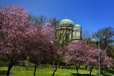 Esztergom-stock-foto