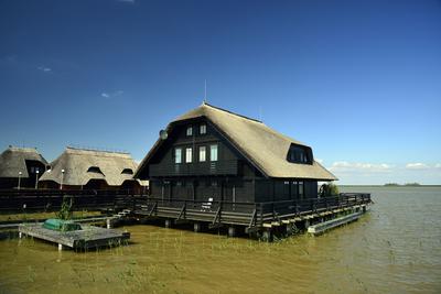Fertő-tó-stock-foto