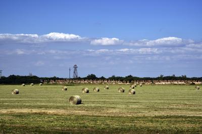 Fertő-tó-stock-foto