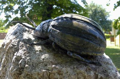 Hédervár-stock-foto