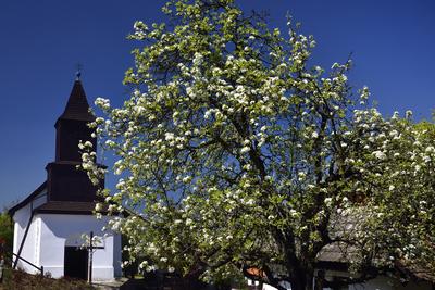 Hollókő-stock-foto