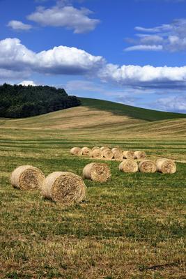 Hevesi táj-stock-foto