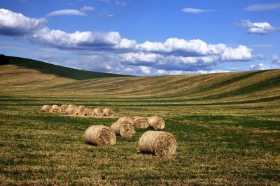 Hevesi táj-stock-foto