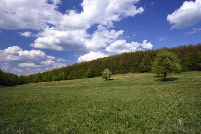 Hevesi táj-stock-foto