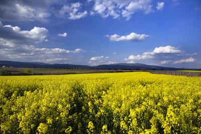 Hevesi táj-stock-foto