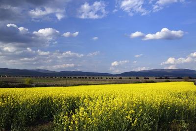 Hevesi táj-stock-foto