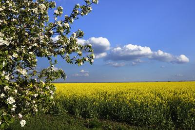 Hevesi táj-stock-foto