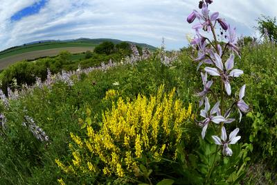 Hevesi táj-stock-foto