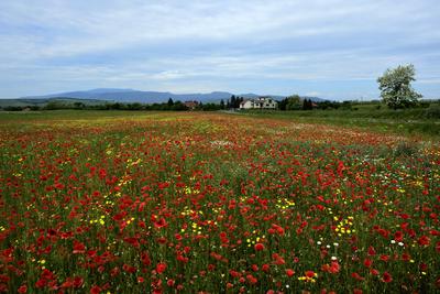 Hevesi táj-stock-foto