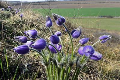 Hevesi táj-stock-foto
