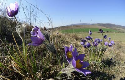 Hevesi táj-stock-foto