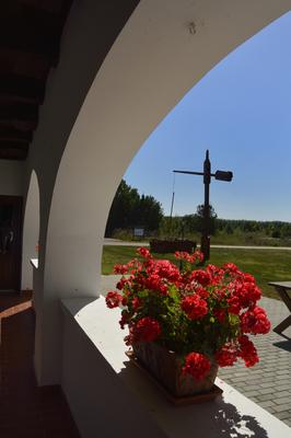 Hortobágy-stock-foto