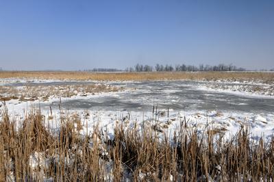 Hortobágy-stock-foto