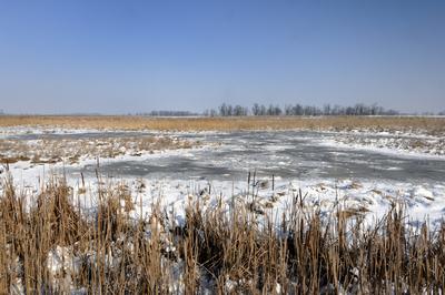 Hortobágy-stock-photo