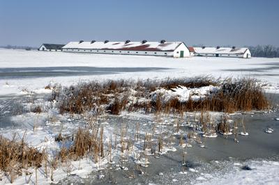 Hortobágy-stock-photo