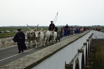 Hortobágy-stock-foto