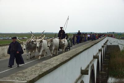 Hortobágy-stock-foto