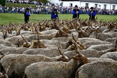 Hortobágy-stock-foto