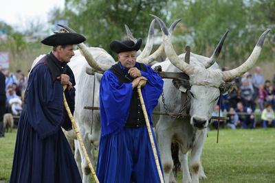 Hortobágy-stock-foto