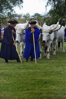 Hortobágy-stock-foto