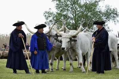 Hortobágy-stock-foto