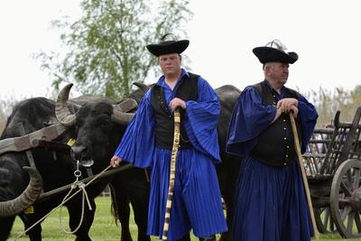 Hortobágy-stock-foto