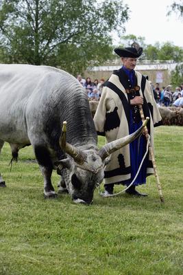 Hortobágy-stock-foto