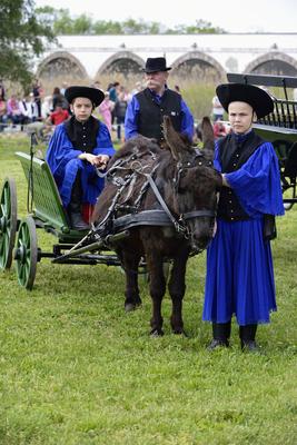 Hortobágy-stock-foto