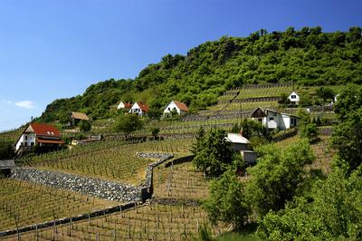 Somló-hegy-stock-foto