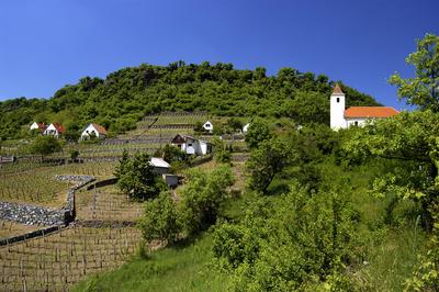 Somló-hegy-stock-foto