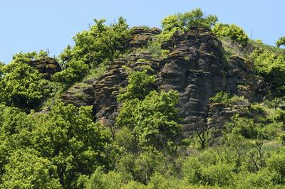 Somló-hegy-stock-foto