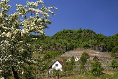 Somló-hegy-stock-foto