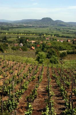 A Balaton-felvidék tanúhegyeinek látványa-stock-foto
