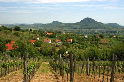 A Balaton-felvidék tanúhegyeinek látványa-stock-foto