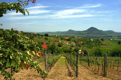 A Balaton-felvidék tanúhegyeinek látványa-stock-foto