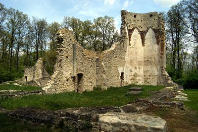 Nagyvázsony, a Pálos kolostor romjai-stock-foto