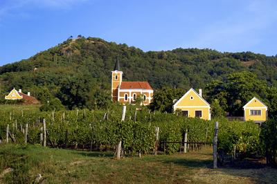 Hegymagas-stock-foto