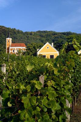 Hegymagas-stock-foto