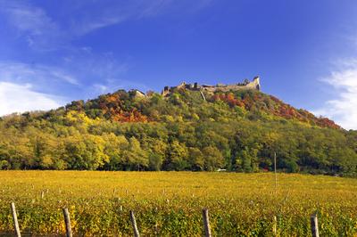 Szigligeti vár-stock-foto