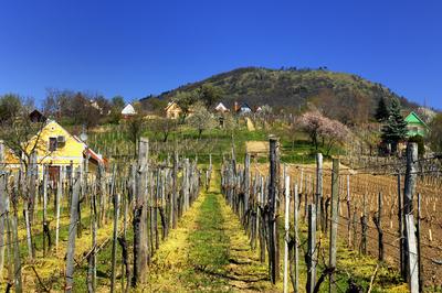 Szent György-hegy-stock-foto