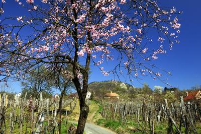 Szent György-hegy-stock-foto