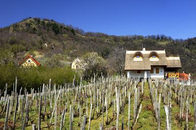 Szent György-hegy-stock-foto